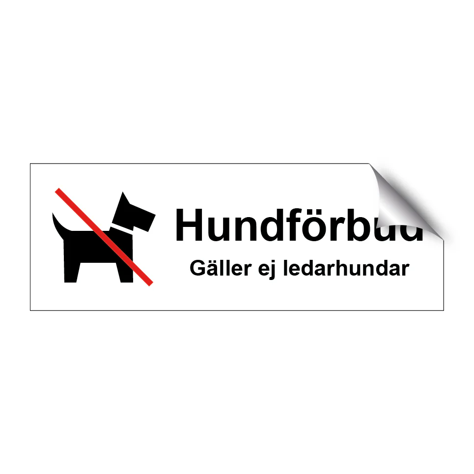 Hundförbud gäller ej ledarhundar - Bild 4
